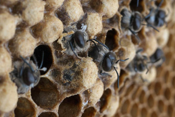 Karlovarský kraj investuje do udržitelnější budoucnosti