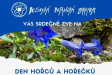 Přijďte si užít Den hořců a hořečků do Bečovské botanické zahrady Přijďte si užít Den hořců a hořečků do Bečovské botanické zahrady