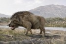 Daeodon. „Terminátorské prase“, které drtilo kosti Daeodon. „Terminátorské prase“, které drtilo kosti